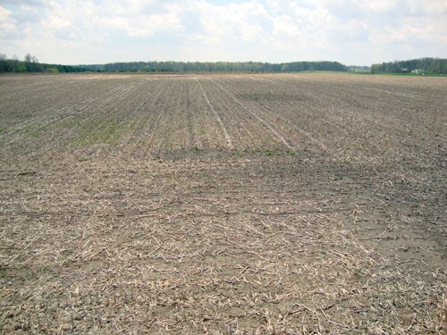 Property photo 8 - 114+/- Acres Offered in 4 Tracts
